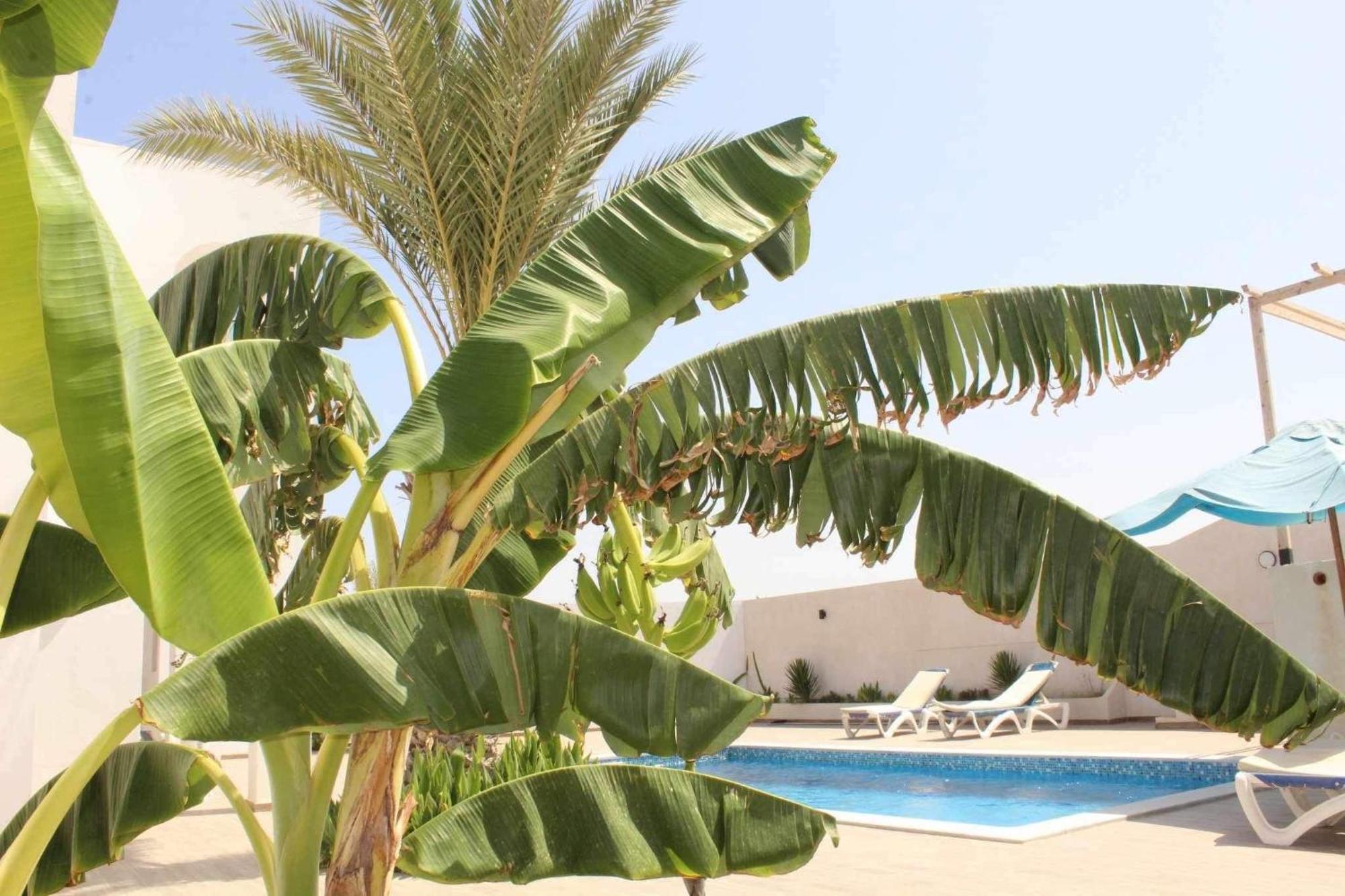 Dar Slima Villa Aghir ภายนอก รูปภาพ